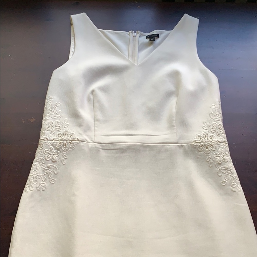 NWT Ann Taylor cocktail dress